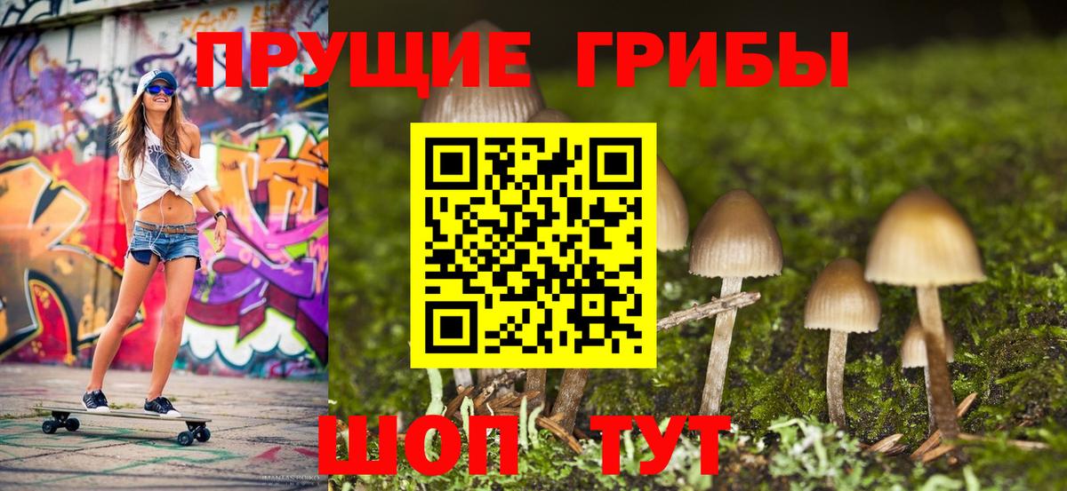Энгельс  Псилоцибиновые грибы Cubensis  Вход с VPN 
